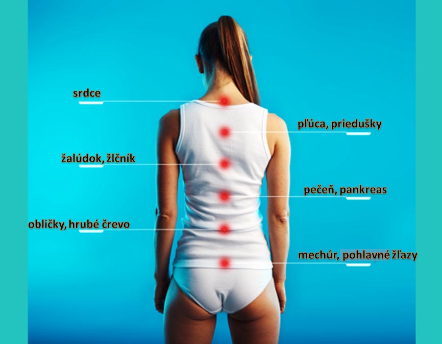 Bolesť chrbta a vplyv na vnútorné orgány.